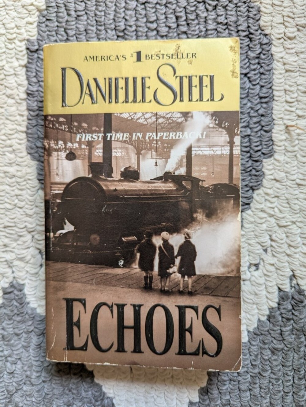 Danielle Steel Paperback Book Echoes WW1 WW2 Family Friends Survived Journey